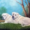 White Labrador Dogs Art Paint By Numbers