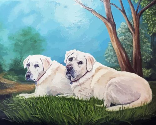 White Labrador Dogs Art Paint By Numbers