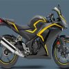 2015 Honda CBR300R Black Paint By Numbers