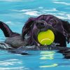 Aesthetic Black Dog Swimming Paint By Numbers