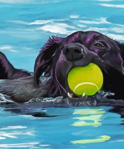 Aesthetic Black Dog Swimming Paint By Numbers