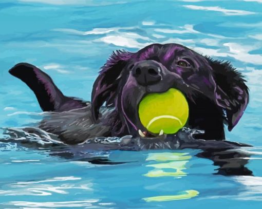 Aesthetic Black Dog Swimming Paint By Numbers