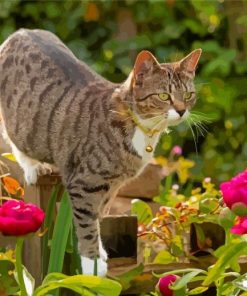 Aesthetic Cat And Flowers Paint By Numbers