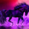 Aesthetic Purple Horse Paint By Numbers