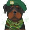 Army Dog Paint By Numbers