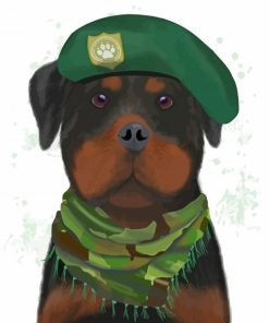 Army Dog Paint By Numbers