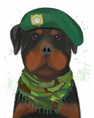 Army Dog Paint By Numbers