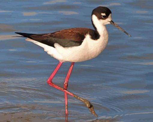 Bird On Beach Paint By Numbers