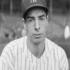 Black And White Joe DiMaggio Paint By Numbers