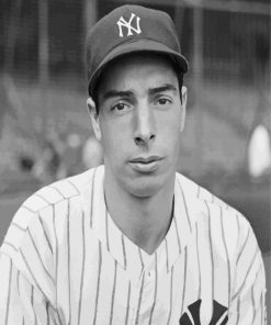 Black And White Joe DiMaggio Paint By Numbers