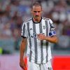 Bonucci Leonardo Paint By Numbers