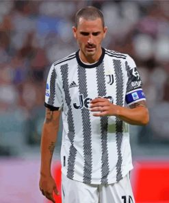 Bonucci Leonardo Paint By Numbers