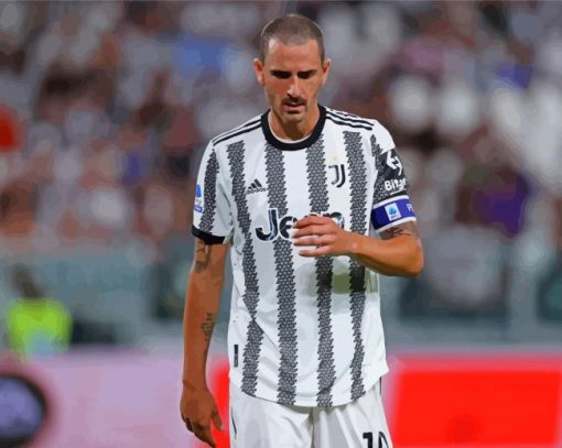 Bonucci Leonardo Paint By Numbers