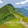 Catbells Ridge Keswick Poster Paint By Numbers