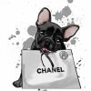 Chanel Dog Paint By Numbers