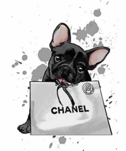 Chanel Dog Paint By Numbers