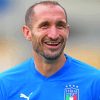 Chiellini Giorgio Paint By Numbers