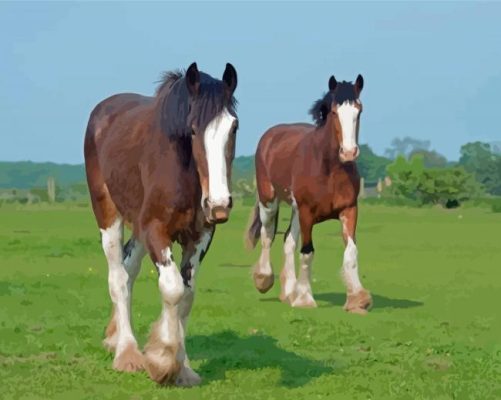 Clydesdales Horses In Farm Paint By Numbers