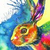 Colorful Hare Animal Paint By Numbers