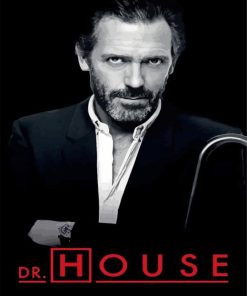 Dr House Poster Paint By Numbers