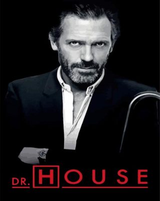 Dr House Poster Paint By Numbers