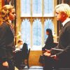 Dramione Harry Potter Paint By Numbers