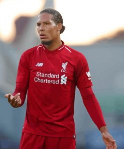 Football Player Virgil Van Dijk Paint By Numbers