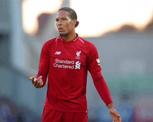 Football Player Virgil Van Dijk Paint By Numbers