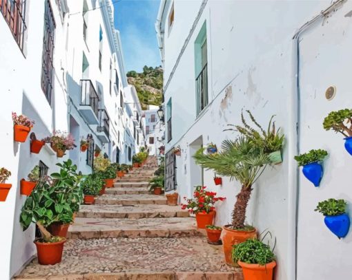 Frigiliana Spain Streets Paint By Numbers