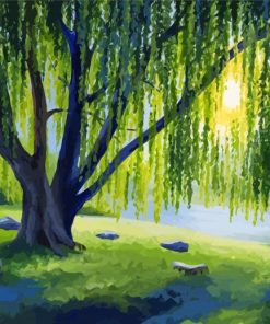 Green Willow Tree Paint By Numbers