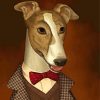 Greyhound Dog In Uniform Paint By Numbers