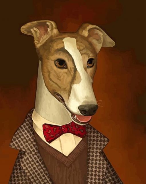 Greyhound Dog In Uniform Paint By Numbers