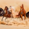 Group Of Horses Paint By Numbers