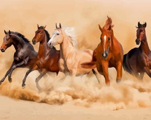 Group Of Horses Paint By Numbers