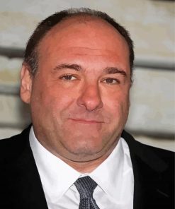 James Gandolfini Paint By Numbers