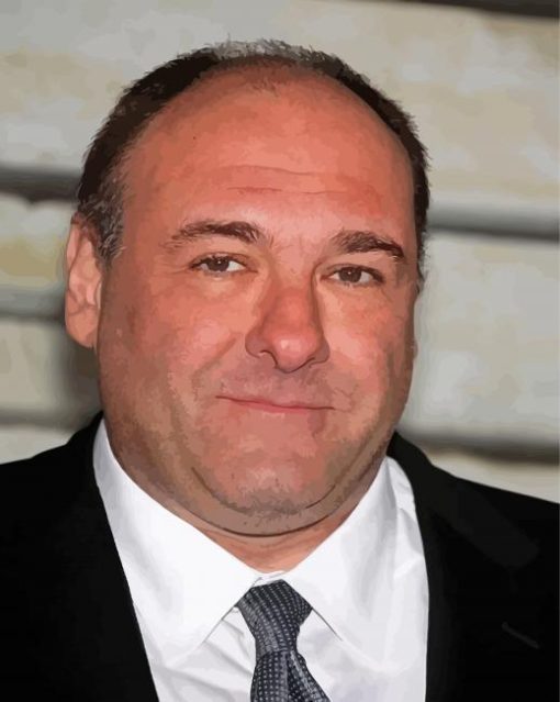 James Gandolfini Paint By Numbers