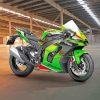 Kawasaki Ninja Motorcycle Paint By Numbers