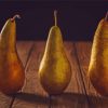 Pears In A Row Paint By Numbers