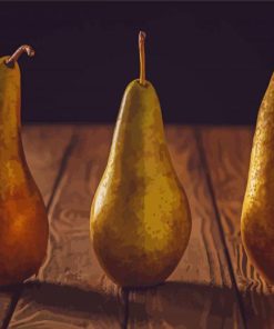 Pears In A Row Paint By Numbers