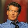 Pierce Brosnan Paint By Numbers