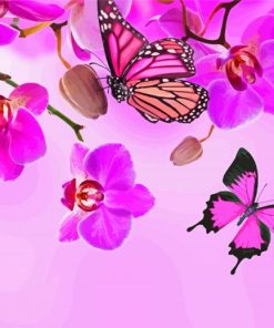 Pink Orchid And Butterfly Paint By Numbers