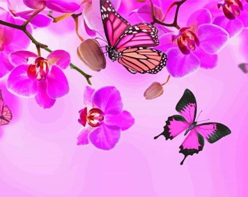 Pink Orchid And Butterfly Paint By Numbers