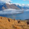 Queenstown Landscape Paint By Numbers