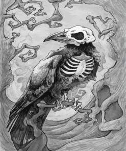 Raven Skull Paint By Numbers