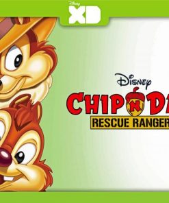 Rescue Rangers Cartoon Poster Paint By Numbers