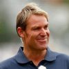 Shane Warne Paint By Numbers