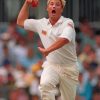 Shane Warne Player Paint By Numbers