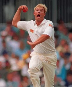 Shane Warne Player Paint By Numbers