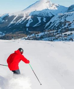 Sunshine Village Paint By Numbers