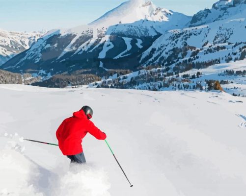 Sunshine Village Paint By Numbers